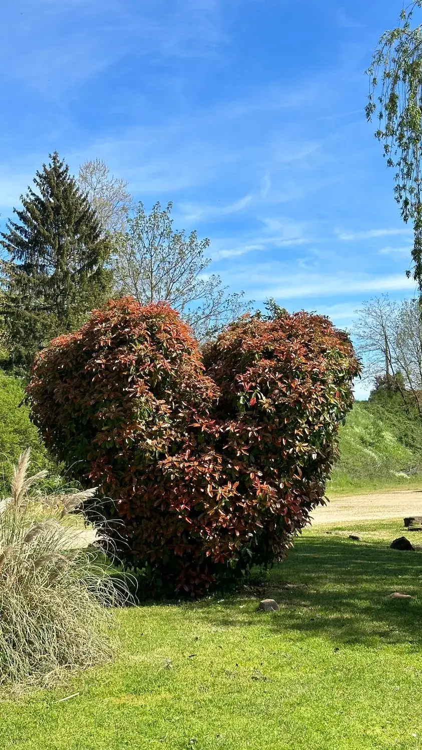 VillageFani_Domaine-des-pierres-dorées (38)
